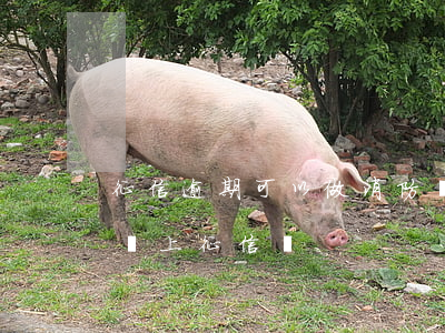 征信逾期可以做消防員嗎(消防處罰5000會上征信嗎)