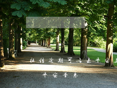 征信逾期可以去平安上班嗎(征信不好可以入職平安普惠嗎)