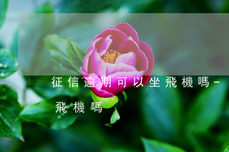 征信逾期可以坐飛機嗎-征信上逾期可以坐飛機嗎
