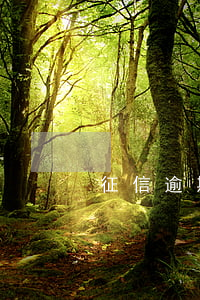 征信逾期可以學(xué)駕照嘛