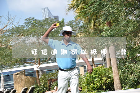 征信逾期可以抵押貸款嗎(征信有逾期可以貸款嗎)