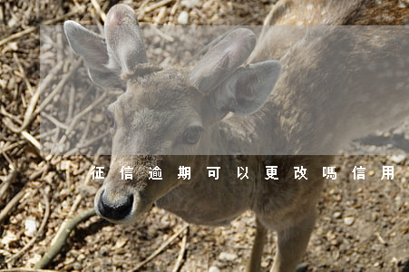 征信逾期可以更改嗎（信用卡逾期怎么改征信）