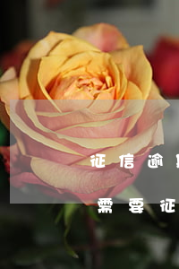 征信逾期可以申請京東車抵貸嗎(京東車抵貸需要征信嗎)