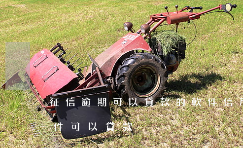 征信逾期可以貸款的軟件(信用卡逾期什么軟件可以貸款)
