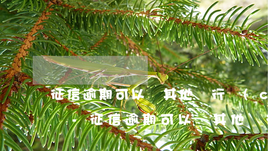 征信逾期可以辦其他銀行儲(chǔ)蓄卡嗎-征信逾期可以辦其他銀行儲(chǔ)蓄卡嗎