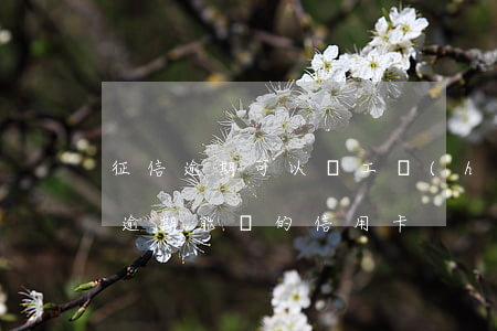 征信逾期可以辦工會(huì)信用卡(征信逾期能辦的信用卡)
