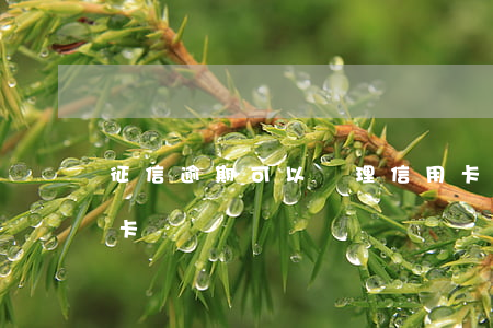 征信逾期可以辦理信用卡么(征信逾期辦信用卡嗎)