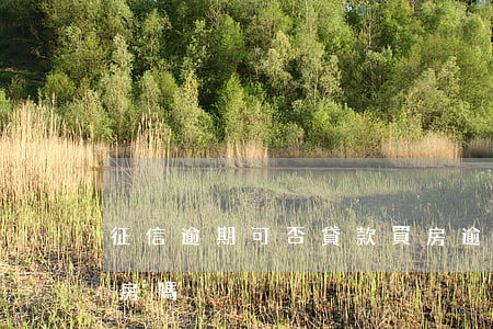 征信逾期可否貸款買房(逾期上征信能貸款買房嗎)