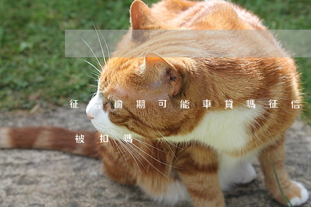 征信逾期可能車貸嗎(征信逾期可能車貸嗎會被扣嗎)