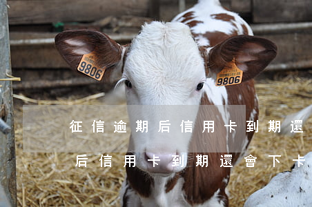 征信逾期后信用卡到期還會下卡-征信逾期后信用卡到期還會下卡嗎