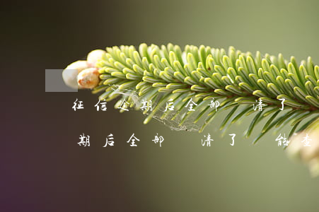 征信逾期后全部還清了還能查到嗎-征信逾期后全部還清了還能查到嗎知乎