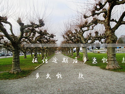 征信逾期后多久能貸款(征信上的逾期還款后多久能貸款)