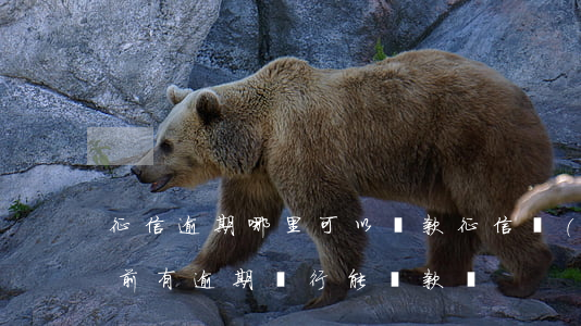 征信逾期哪里可以貸款(征信當(dāng)前有逾期銀行能貸款嗎)