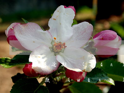征信逾期嚴(yán)重網(wǎng)黑貸款(網(wǎng)貸逾期算是征信黑戶嗎)