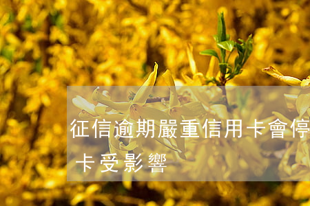 征信逾期嚴重信用卡會停嗎(逾期上征信信用卡受影響)