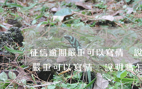 征信逾期嚴重可以寫情況說明嗎-征信逾期嚴重可以寫情況說明嗎怎么寫