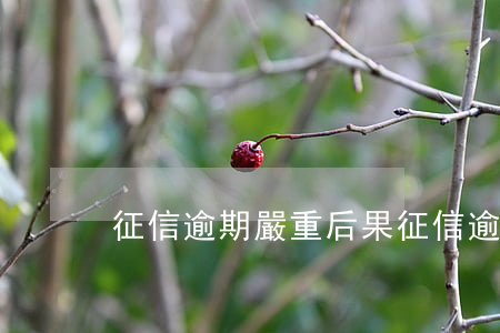 征信逾期嚴重后果（征信逾期的危害有哪些）
