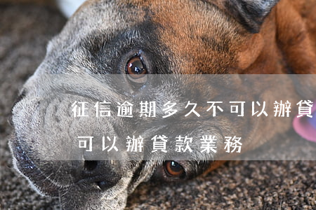 征信逾期多久不可以辦貸款(征信逾期多久不可以辦貸款業務)