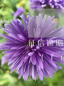 征信逾期多久修復(fù)(征信逾期多久修復(fù))