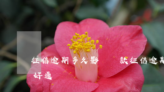 征信逾期多久影響貸款(征信逾期多久貸款不好通過)