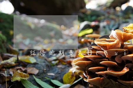 征信逾期多久會(huì)起訴案例