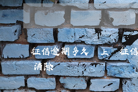 征信逾期多久會上訴(征信逾期多久可以自動消除)