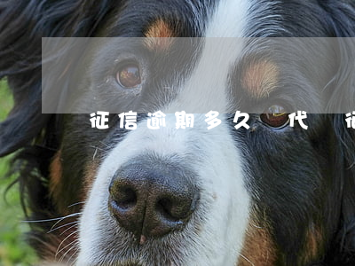 征信逾期多久會代償（征信逾期多久會代償）