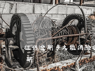 征信逾期多久能消除(征信逾期多久能消除逾期記錄)