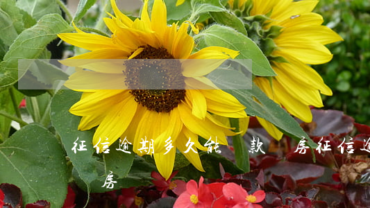征信逾期多久能貸款買房(征信逾期多久可以買房)
