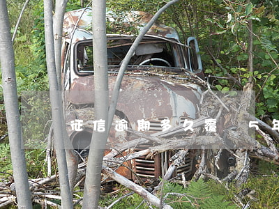 征信逾期多久覆蓋5年還是10年