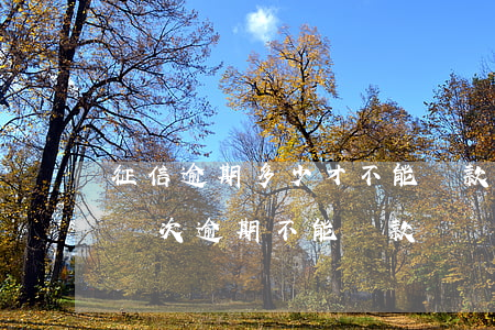 征信逾期多少才不能貸款(個(gè)人征信幾次逾期不能貸款)