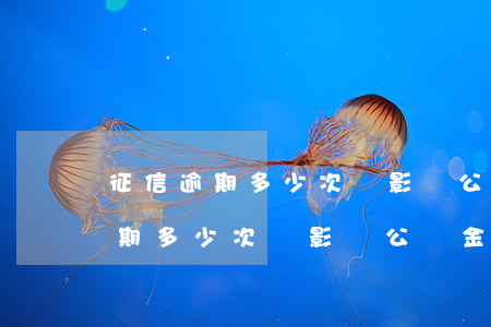 征信逾期多少次會影響公積金貸款-征信逾期多少次會影響公積金貸款嗎