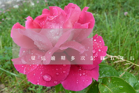 征信逾期多次記錄五年后依次消除