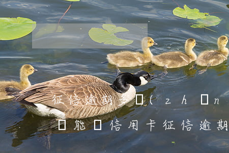 征信逾期多長(zhǎng)時(shí)間能辦信用卡（征信逾期多長(zhǎng)時(shí)間能辦信用卡）