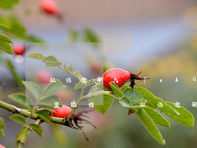 征信逾期大數(shù)據(jù)花在哪里能借錢-征信逾期大數(shù)據(jù)花在哪里能借錢呢