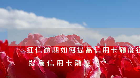征信逾期如何提高信用卡額度(征信逾期如何提高信用卡額度)