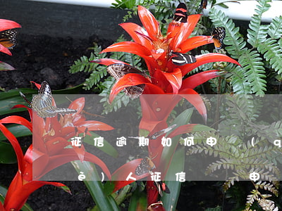 征信逾期如何申請(qǐng)異議(個(gè)人征信異議申請(qǐng)表可以處理逾期嗎)