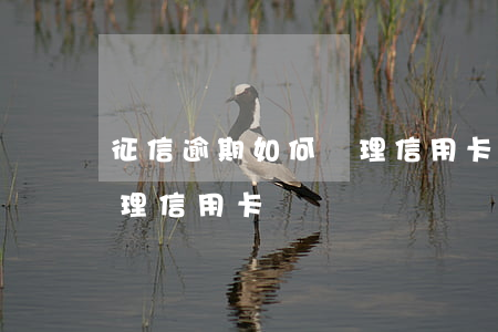 征信逾期如何處理信用卡(征信有逾期怎么辦理信用卡)
