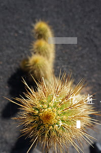 征信逾期對房貸影響大嗎(逾期對征信的影響大嗎)