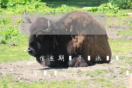 征信逾期屬于違法違規(guī)嗎(一般征信違規(guī)行為)