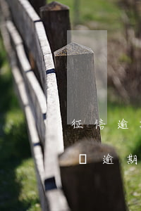 征信逾期已結(jié)清可以分期買車（白條逾期可以分期買車嗎）