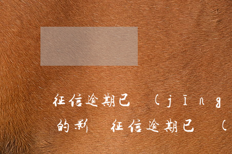 征信逾期已經(jīng)結(jié)清的影響(征信逾期已經(jīng)結(jié)清的影響征信嗎)