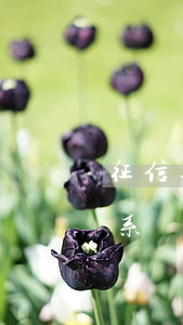 征信逾期平臺(tái)能撤銷嗎(上傳征信系統(tǒng)的逾期可以投訴撤銷嗎)