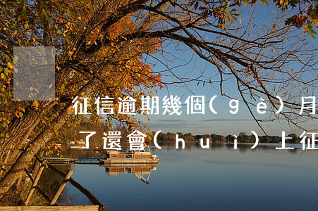 征信逾期幾個(gè)月后還上了-逾期還了還會(huì)上征信嗎