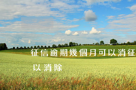 征信逾期幾個月可以消(征信逾期多長時間可以消除)
