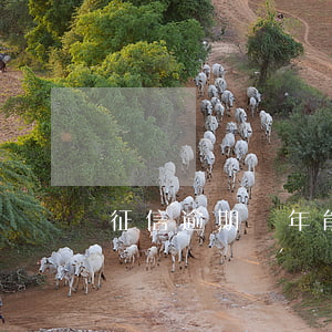 征信逾期幾年能消-征信逾期幾年消除記錄