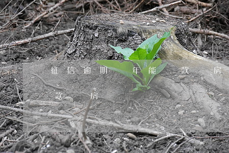 征信逾期幾年能貸款買房(征信逾期幾年能貸款買房)