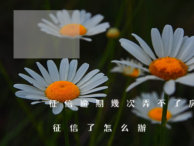 征信逾期幾次弄不了房貸(房貸逾期兩三天上征信了怎么辦)