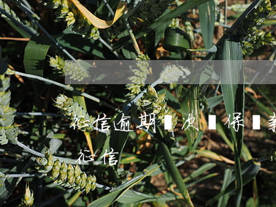 征信逾期幾次擔保貸款(擔保貸款逾期擔保人征信)