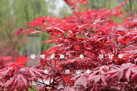 征信逾期幾毛錢可以申請異議嗎-征信逾期幾毛錢可以申請異議嗎知乎